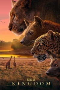 Царство животных